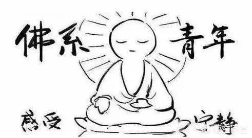 程序员高手和程序员菜鸟的区别是什么?