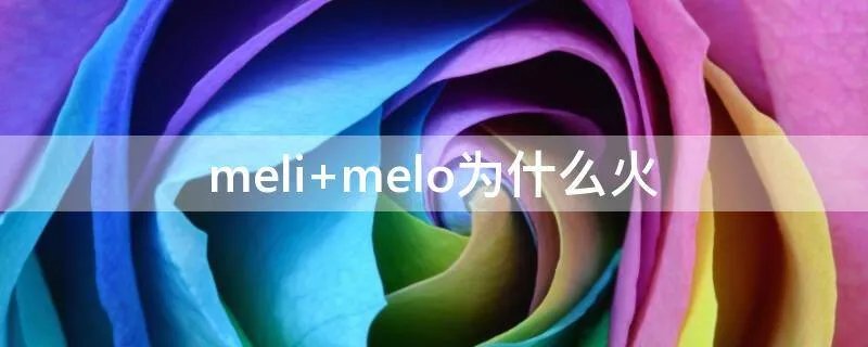meli melo为什么火