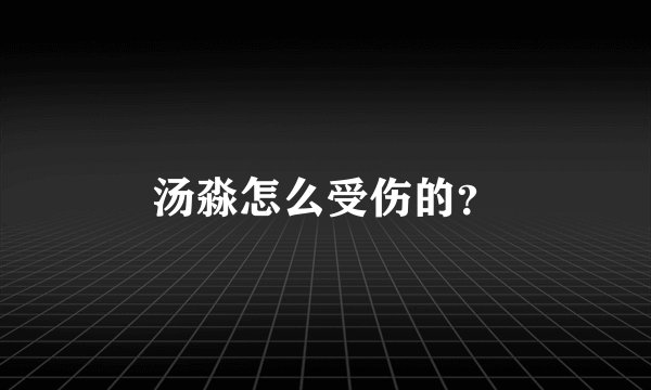 汤淼怎么受伤的?