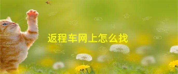 返程车网上怎么找