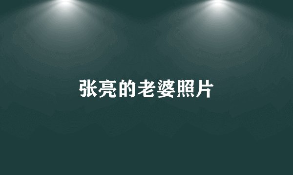 张亮的老婆照片
