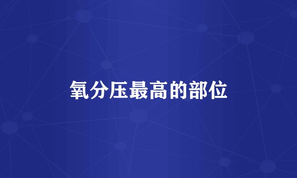氧分压最高的部位