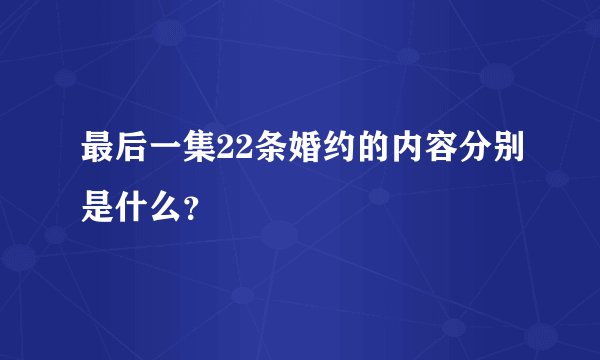 最后一集22条婚约的内容分别是什么？