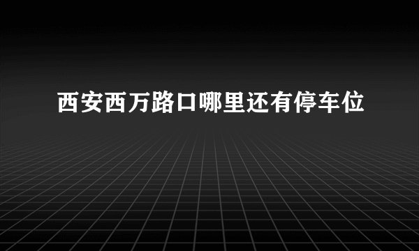 西安西万路口哪里还有停车位