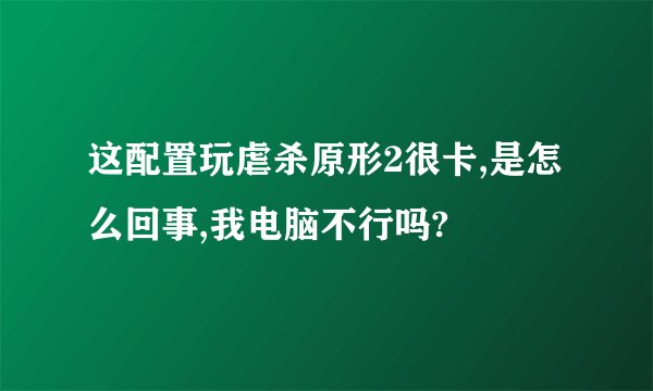 这配置玩虐杀原形2很卡,是怎么回事,我电脑不行吗?