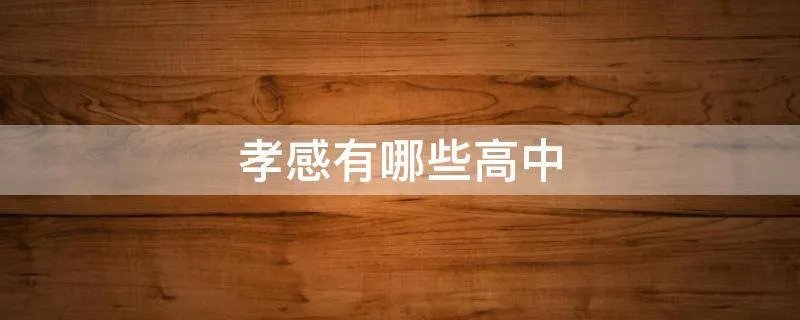 孝感有哪些高中