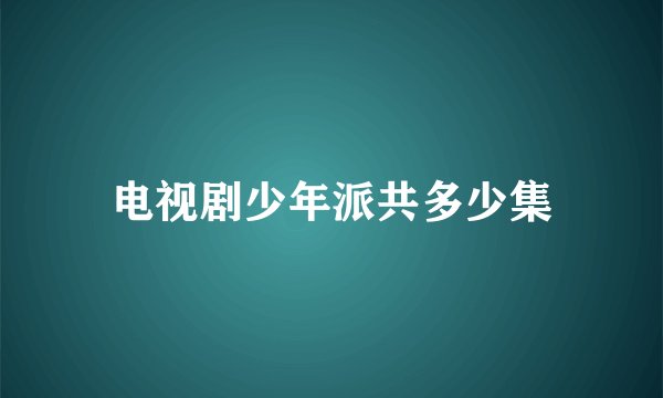 电视剧少年派共多少集