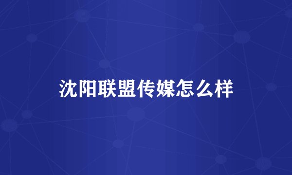 沈阳联盟传媒怎么样