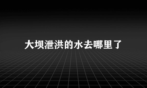 大坝泄洪的水去哪里了