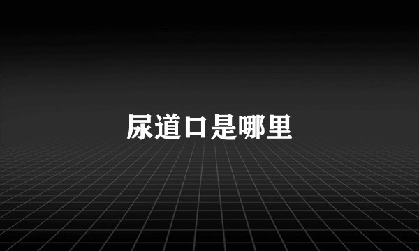 尿道口是哪里