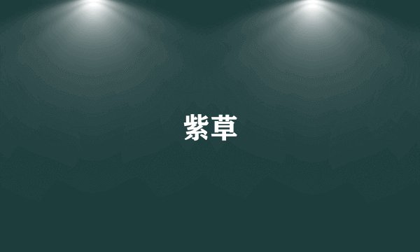紫草