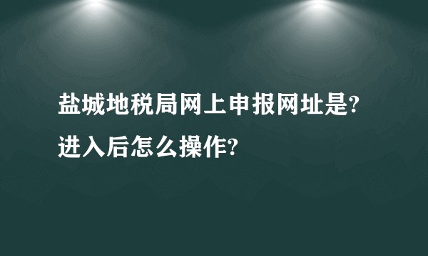 盐城地税局网上申报网址是?进入后怎么操作?