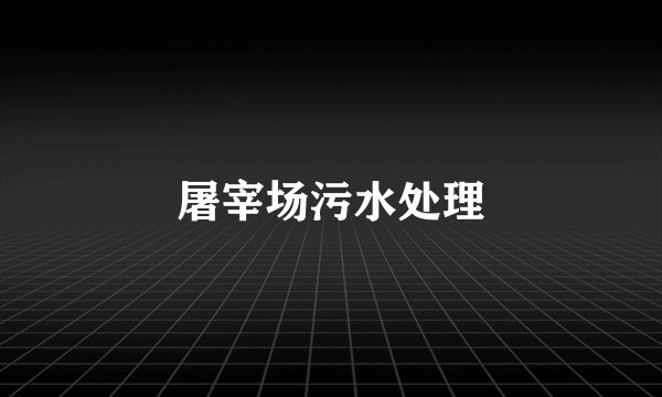屠宰场污水处理