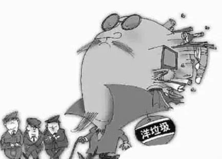 海关什么时候开始打击洋垃圾走私专项行动?