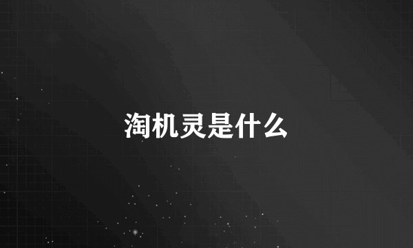 淘机灵是什么