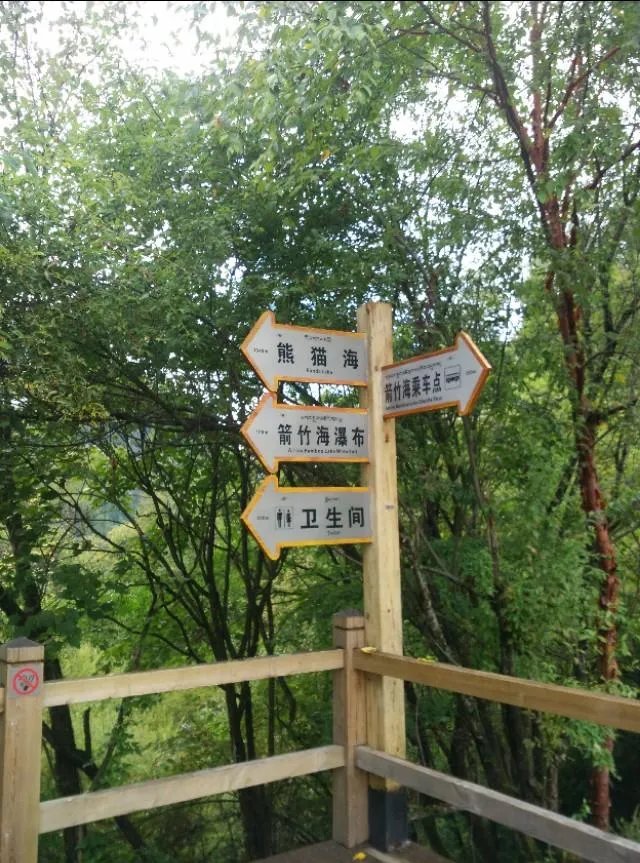 九寨沟地震过后又形成新的景点,你还会去吗?