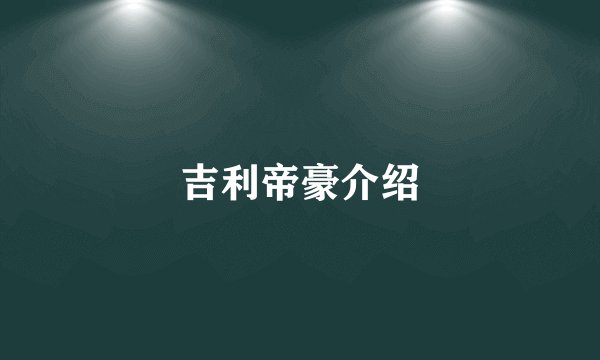 吉利帝豪介绍