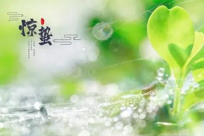 2020年惊蛰还有几天？惊蛰有什么习俗？