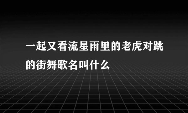一起又看流星雨里的老虎对跳的街舞歌名叫什么