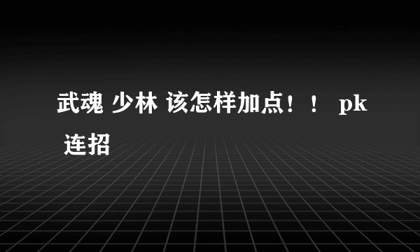武魂 少林 该怎样加点！！ pk 连招