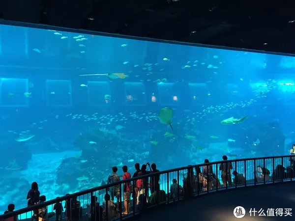 每日一景点 篇一百二十六:新加坡圣淘沙超详细攻略,沙滩、探险、机动游戏一网打尽!交通住宿景点攻略全都有!