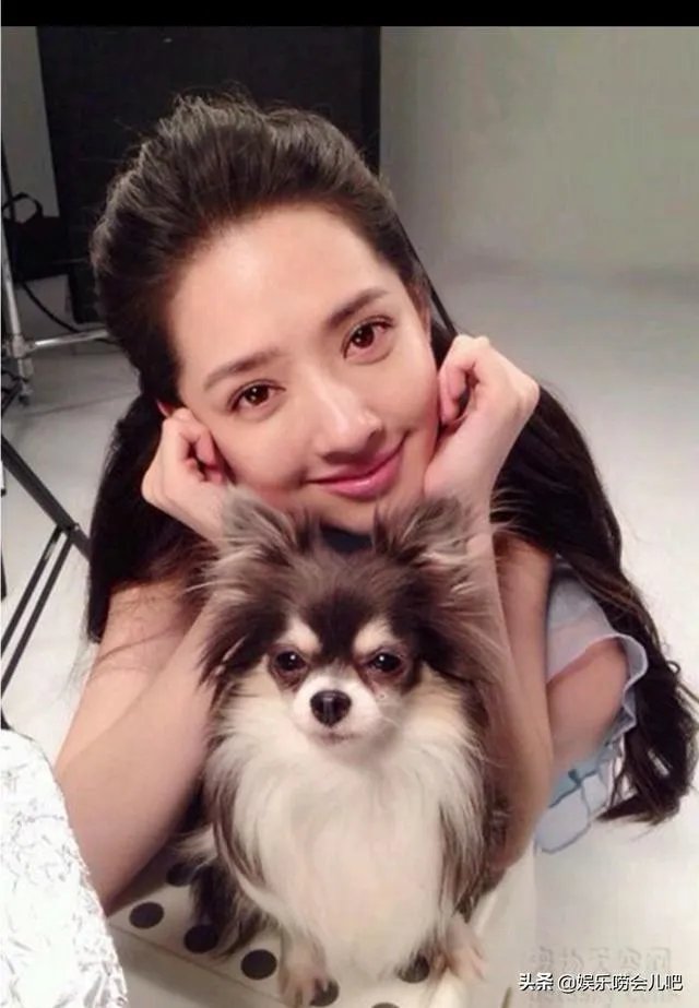 你知道哪些明星,在家养有什么样的宠物呢?