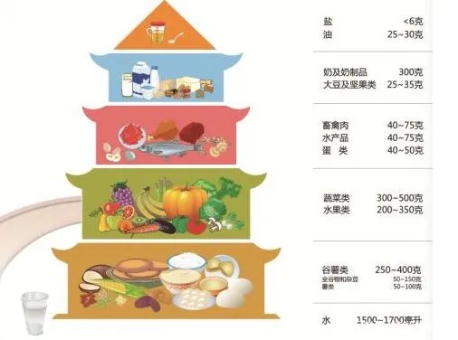 按照营养学角度说早餐、中餐、晚餐应该怎么吃才对?