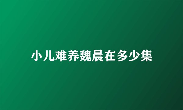小儿难养魏晨在多少集