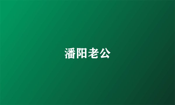 潘阳老公