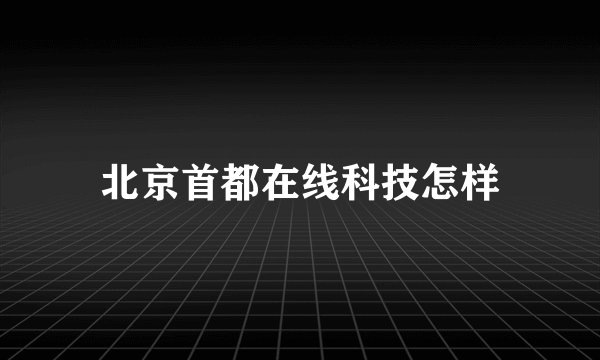 北京首都在线科技怎样