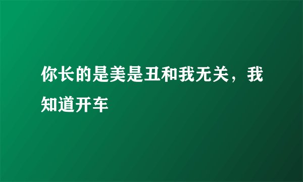 你长的是美是丑和我无关，我知道开车