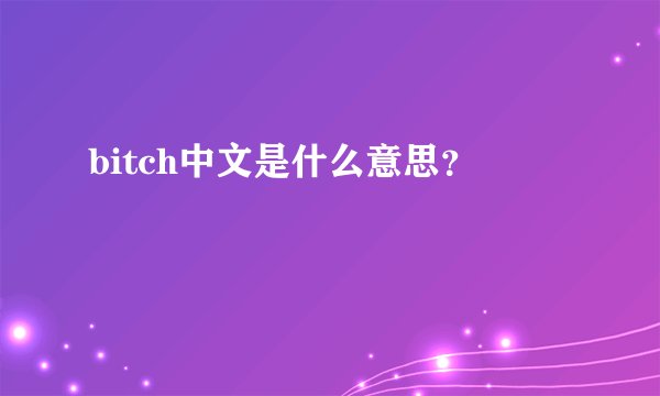 bitch中文是什么意思？