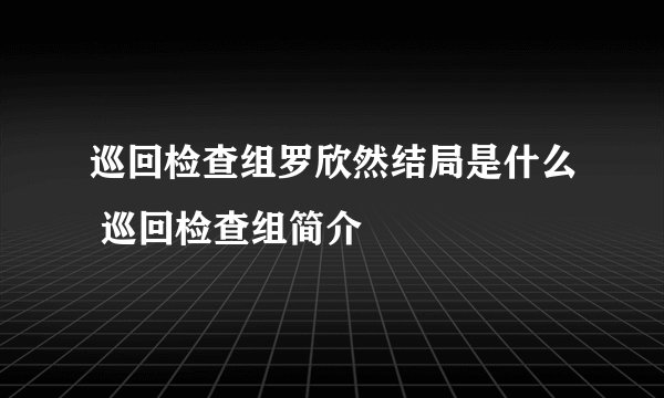 巡回检查组罗欣然结局是什么 巡回检查组简介