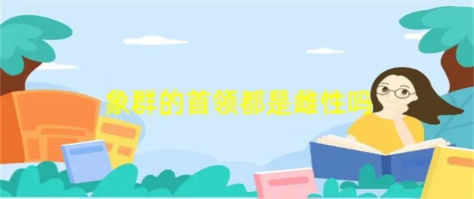 象群的首领都是雌性吗