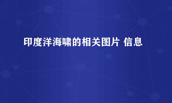 印度洋海啸的相关图片 信息