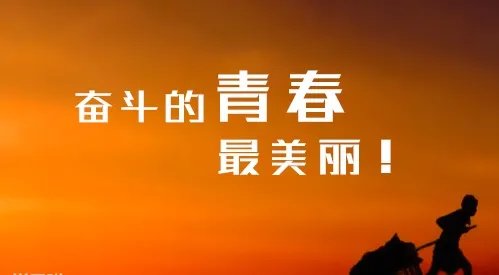 中国石油大学2020各省录取分数线查询
