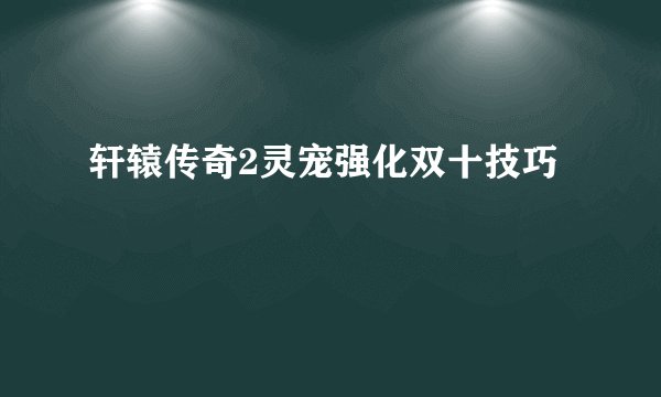 轩辕传奇2灵宠强化双十技巧