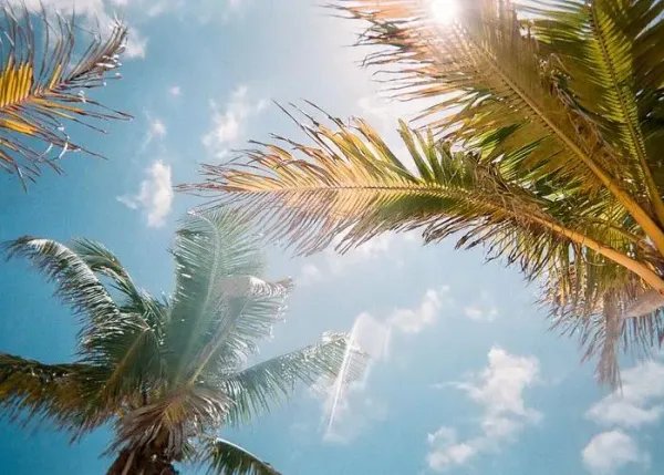 受持续高温天气影响,鄱阳湖水位持续下降!对鄱阳湖生态系统有哪些影响?