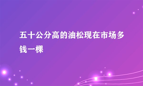 五十公分高的油松现在市场多钱一棵