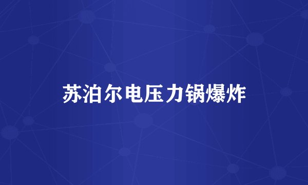 苏泊尔电压力锅爆炸
