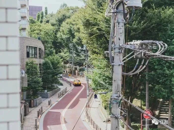 买房、独居、不婚、不生,这届女性实在是太牛了!