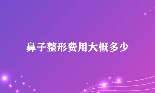 鼻子整形费用大概多少