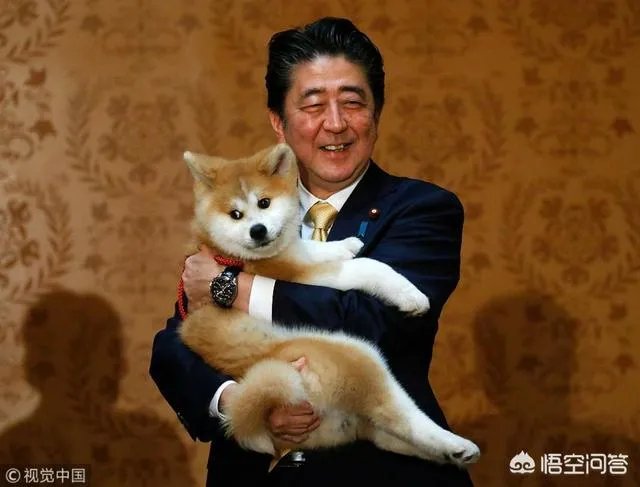 日本发表混乱外交蓝皮书