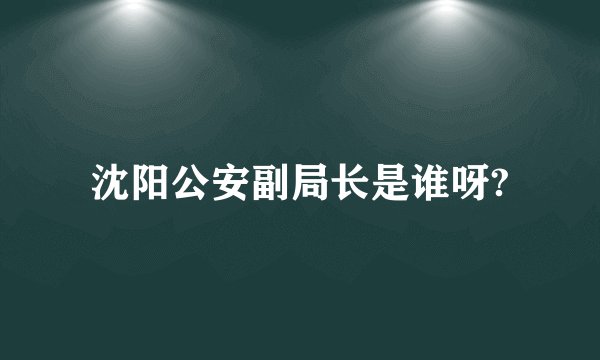 沈阳公安副局长是谁呀?