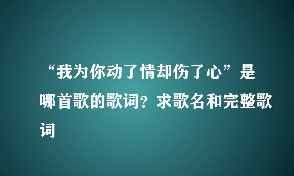 “我为你动了情却伤了心”是哪首歌的歌词？求歌名和完整歌词