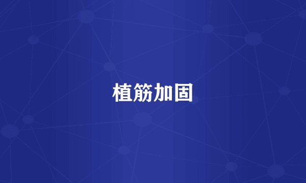 植筋加固