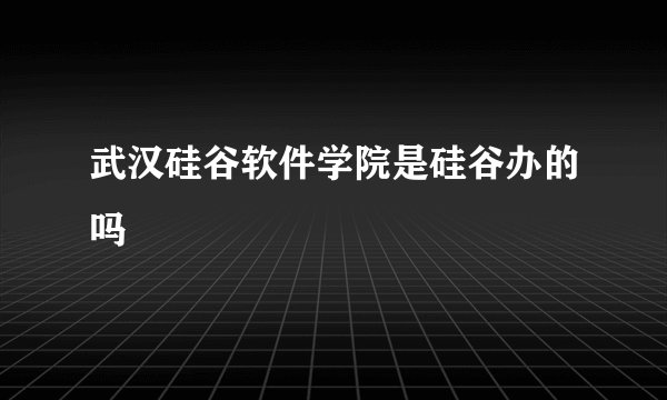 武汉硅谷软件学院是硅谷办的吗