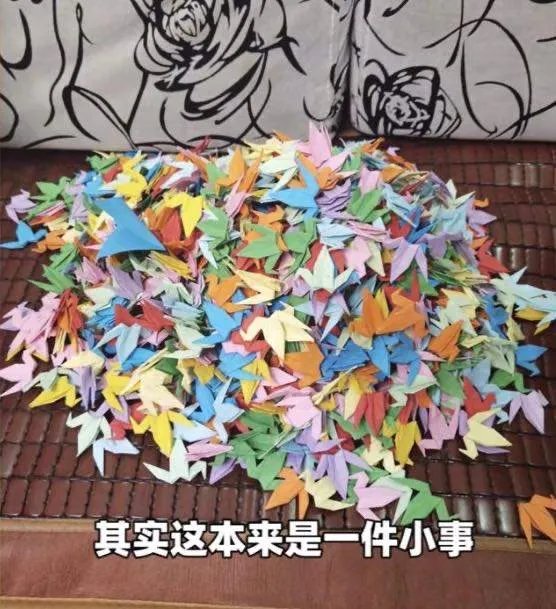 爷爷折千只千纸鹤送奶奶遭嫌弃,对此你有何看法?