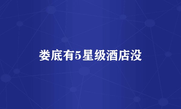 娄底有5星级酒店没