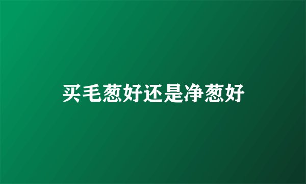 买毛葱好还是净葱好